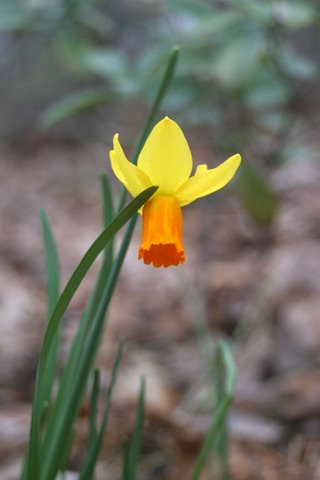 ©2010 BluffParkAl.org - Photo by Steve Porter
