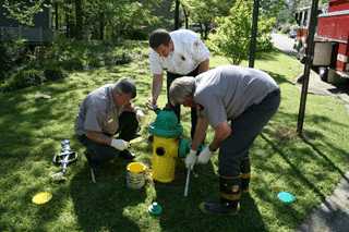 2008 BluffParkAl.org