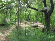 2007 BluffParkAl.org